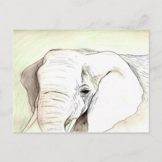 Olifant Vykort