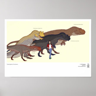 Olika arter av Ceratosaurus Poster