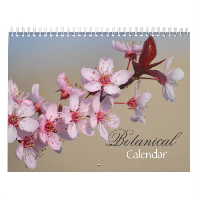 Olika blommor kalender (Omslag)