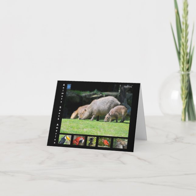 Olika djur i Sydamerika Tack Kort (Framsida)