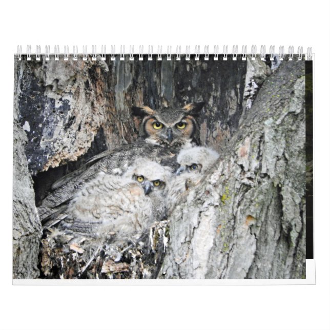 Olika fåglar och Ankor Kalender (Omslag)