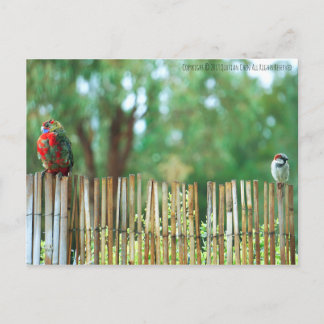 Olika hållpunkter vykort