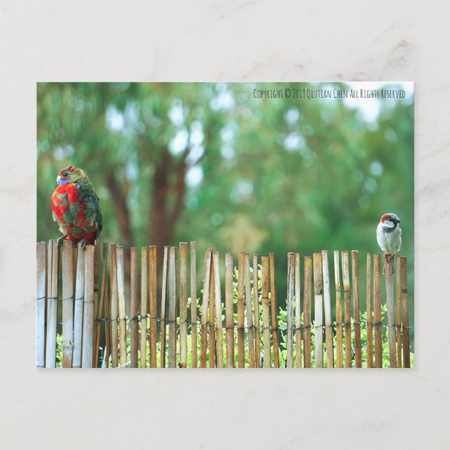 Olika hållpunkter vykort (Framsida)