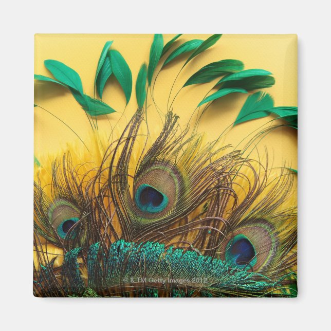 Olika husdjur magnet (Framsidan)