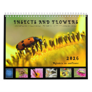Olika insekter och blommor 12-månaderskalender kalender