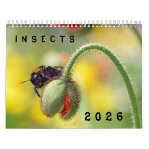 Olika insektra kalender