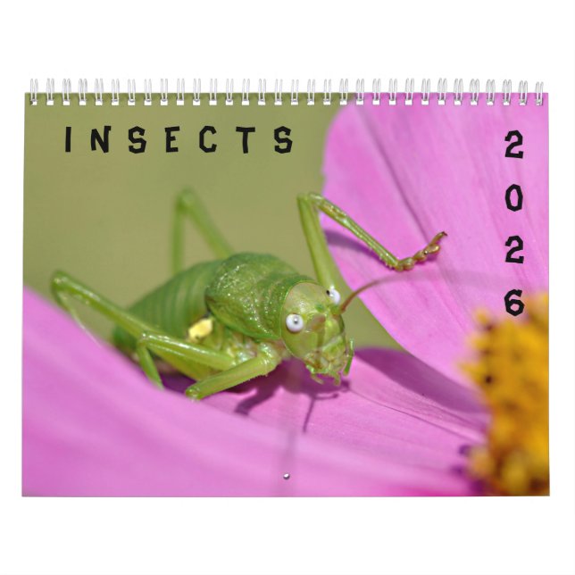 Olika insektra kalender (Omslag)