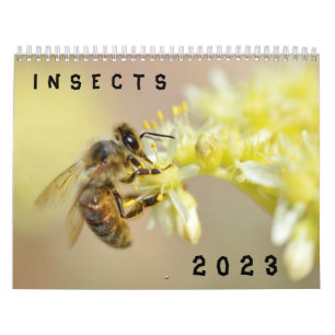 Olika insektra kalender