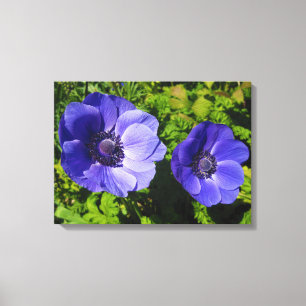 Olika Lila Poppy Blommigt Wrapped Canvas Prints