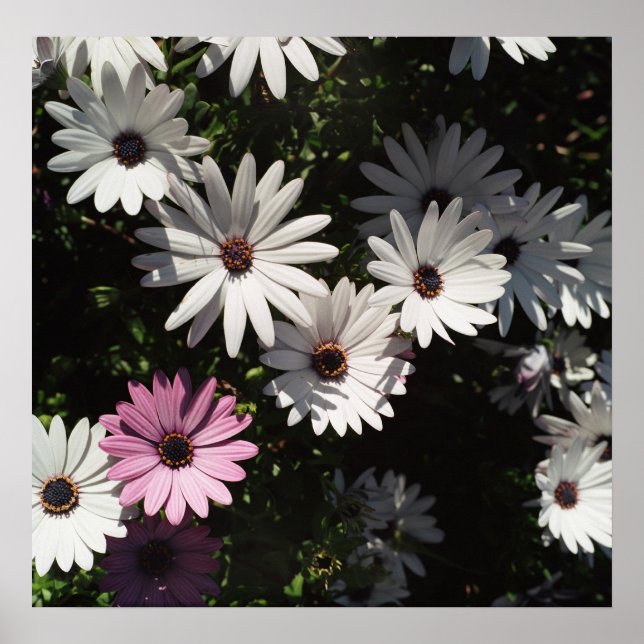 Olika och fortfarande vackert poster (Framsidan)