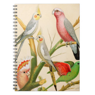 Olika paraketer anteckningsbok