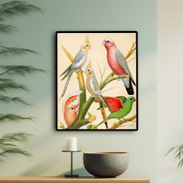 Olika paraketer poster