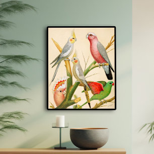 Olika paraketer poster