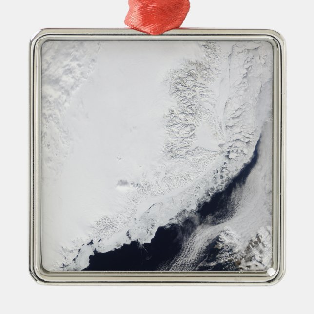 Olika typer av sjöis julgransprydnad metall (Framsidan)