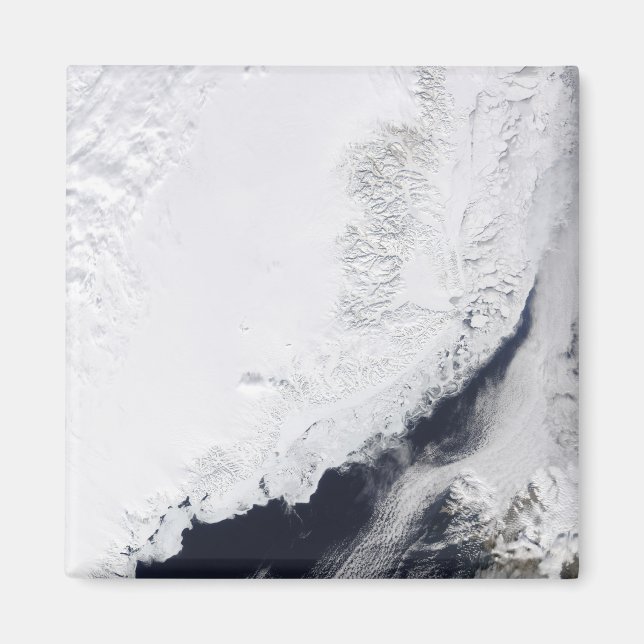 Olika typer av sjöis magnet (Framsidan)