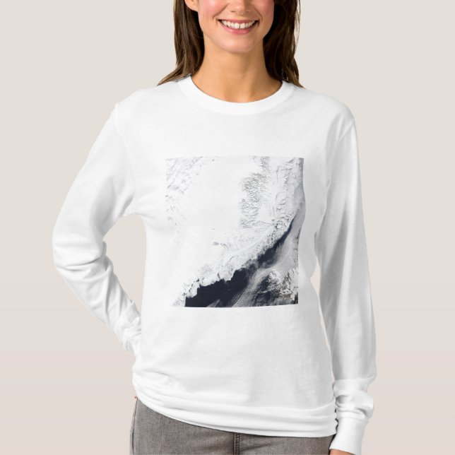 Olika typer av sjöis t-shirt (Framsida)
