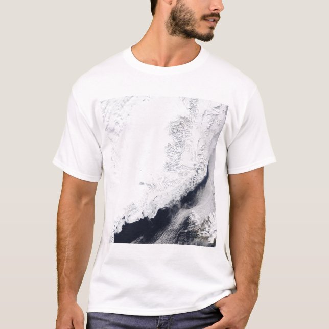 Olika typer av sjöis tee shirt (Framsida)