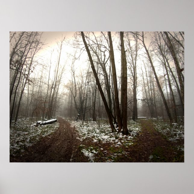 olikheter poster (Framsidan)