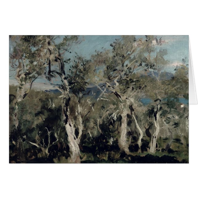 Oliv Corfu, 1912 Hälsningskort (Framsidan Horizontal)