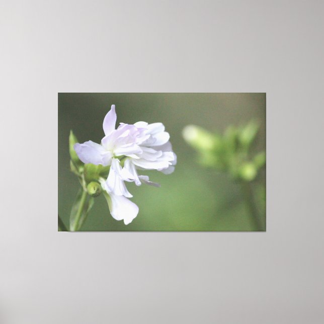 Oliv grönt utskrift canvastryck (Framsida)