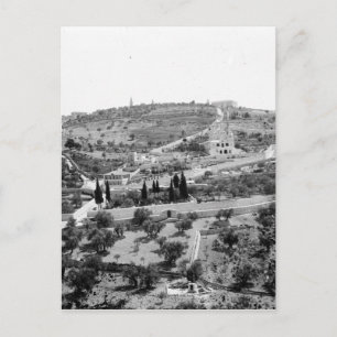Olivberget i Jerusalem Vykort