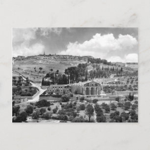 Olivberget och Garden Gethsemane i Jerusalem Vykort