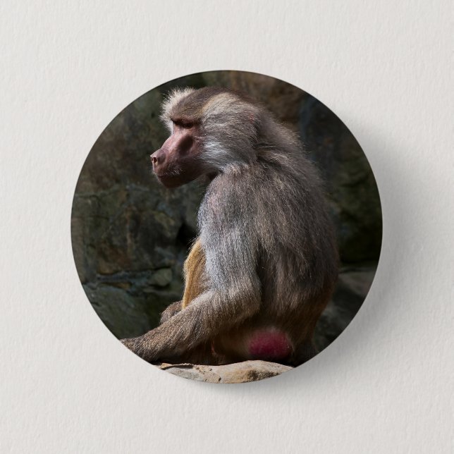 Olive Baboon Knapp (Framsida)