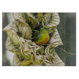 Olive Backed Euphonia, Wildlife Avian Photography