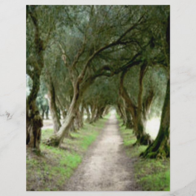 Olive Garden Flyer (Framsidan)