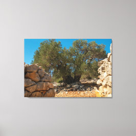 Olive Gardens i Lun Canvastryck