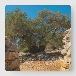 Olive Gardens i Lun Fyrkantig Klocka