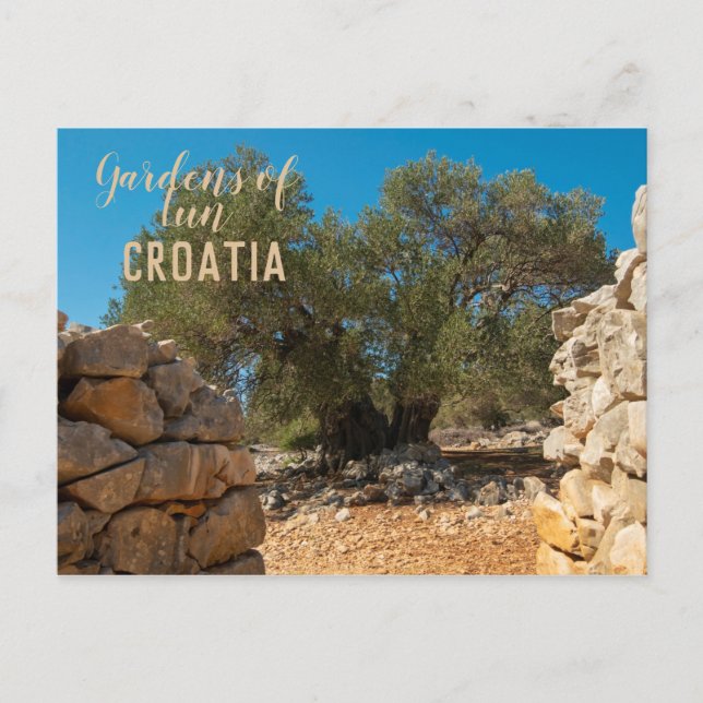 Olive Gardens i Lun Vykort (Framsida)