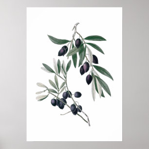 Olive grenar poster