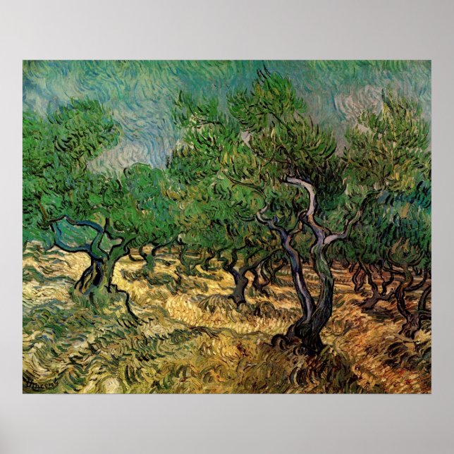 Olive Grove av Vincent van Gogh Poster (Framsidan)