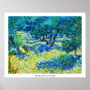 Olive Grove av Vincent Van Gogh Poster