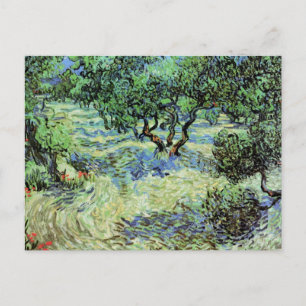 Olive Grove av Vincent van Gogh Vykort