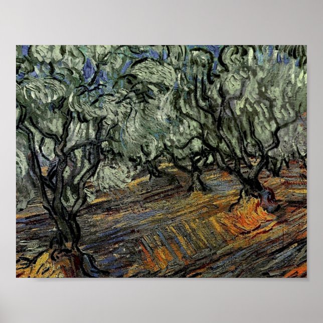 Olive Grove, Bright Blå himmel Van Gogh Fine Art Poster (Framsidan)
