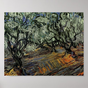 Olive Grove, Bright Blå himmel Van Gogh Fine Art Poster