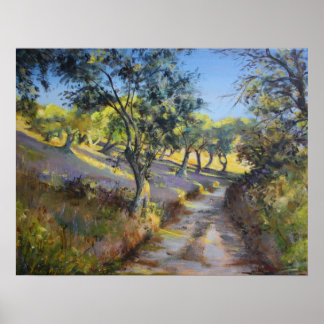 Olive Grove i solljus under hösten Poster