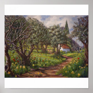 Olive Grove i Springtime Poster