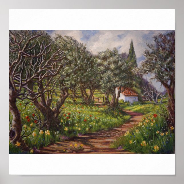 Olive Grove i Springtime Poster (Framsidan)