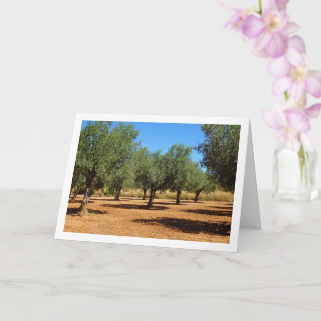 Olive Grove liggande Kort (Orkide)