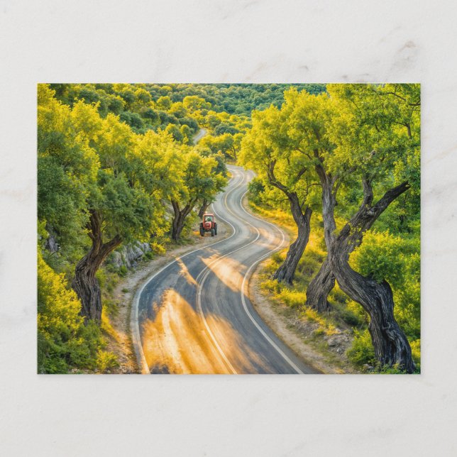 Olive Grove med gammal traktor på kvällsvägen Helg Vykort (Framsida)