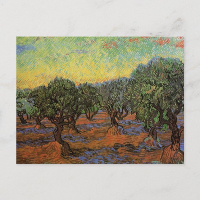 Olive Grove med Orange Himlar, Vincent van Gogh Vykort (Framsida)