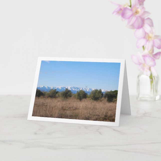 Olive Grove och Snowy Mountains Kort (Orkide)