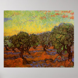 Olive Grove, Orange Himlar av Vincent van Gogh Poster