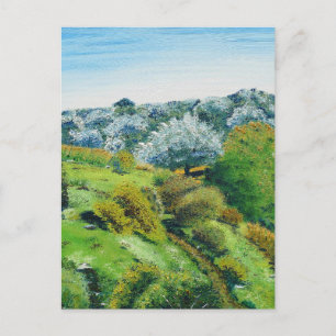 Olive Grove Vykort