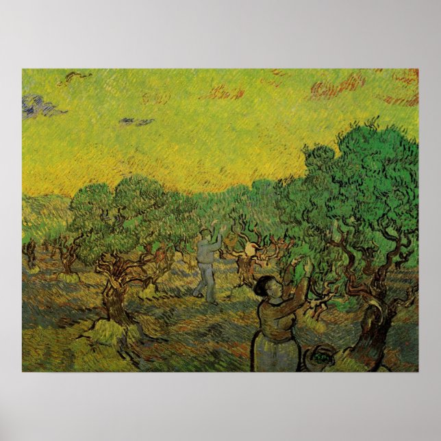Olive Grove with Picking Figurer, Vincent van Gogh Poster (Framsidan)
