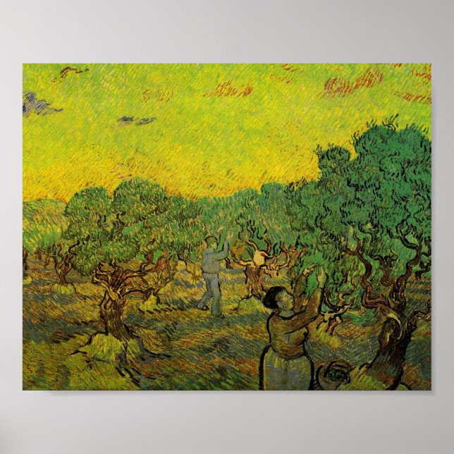 Olive Grove with Picking Figurer, Vincent van Gogh Poster (Framsidan)