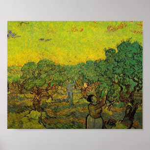 Olive Grove with Picking Figurer, Vincent van Gogh Poster